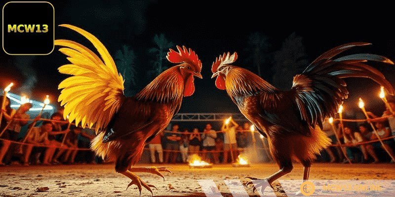 Sảnh CFE có bầu không khí náo nhiệt như ở trường đấu thực tế