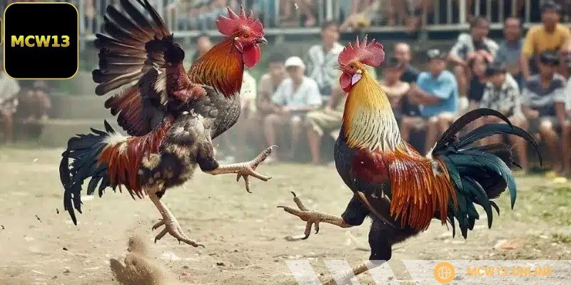 Sảnh ICF có lối tổ chức nhanh gọn, rõ ràng